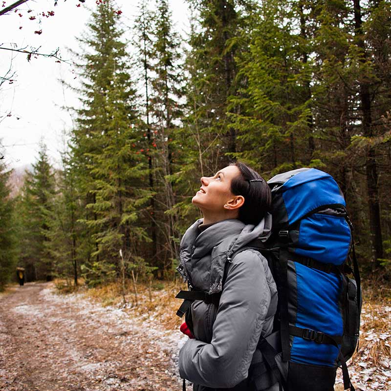 female hiker looking up in forest sarsy village 2022 03 07 23 58 37 utc
